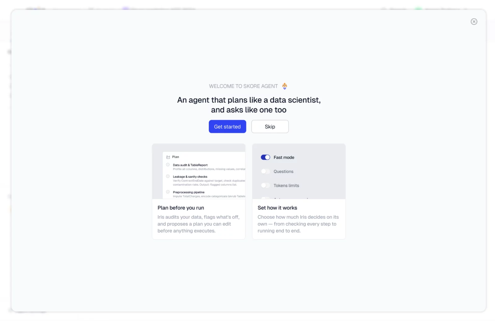Skore Agent welcome screen: “An agent that plans like a data scientist, and asks like one too”, with the options Plan before you run and Set how it works.